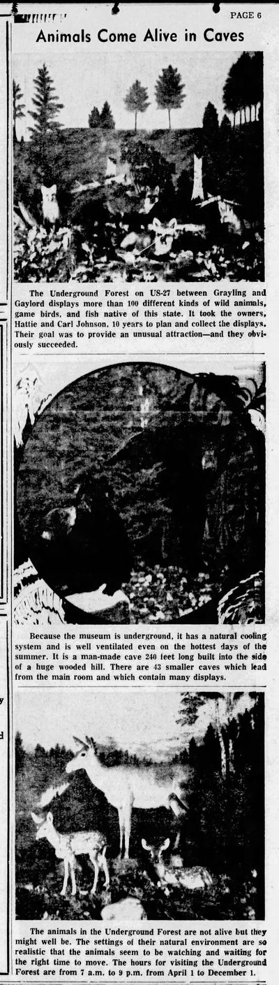 Underground Forest - Sept 1962 Promo Ad